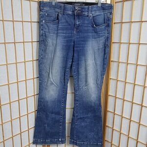 Torrid Premium jeans in EUC size 16S with stretch and two buttons